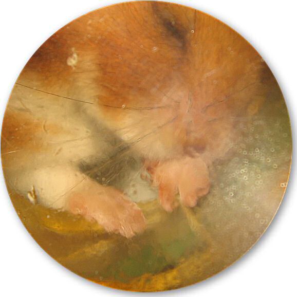 My Poor, Poor, hamster Lucy.