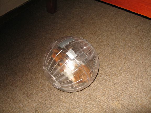 YEAAAAAAI for my hamster Lucy !