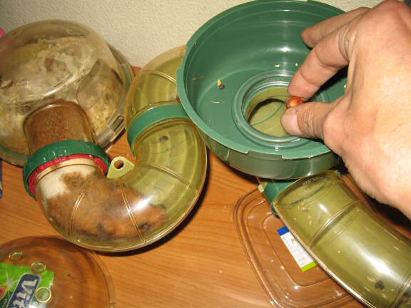 My hamster Lucy requesting.