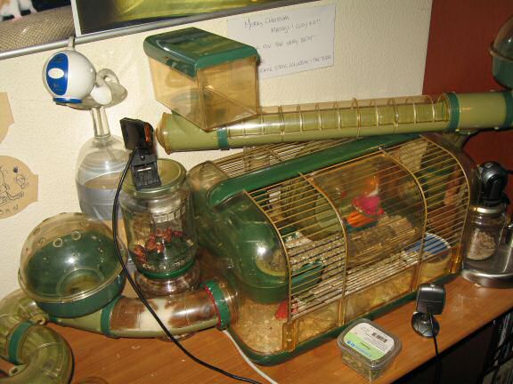 Picture of the fourth setup of the Lucy's (3.0) cage.