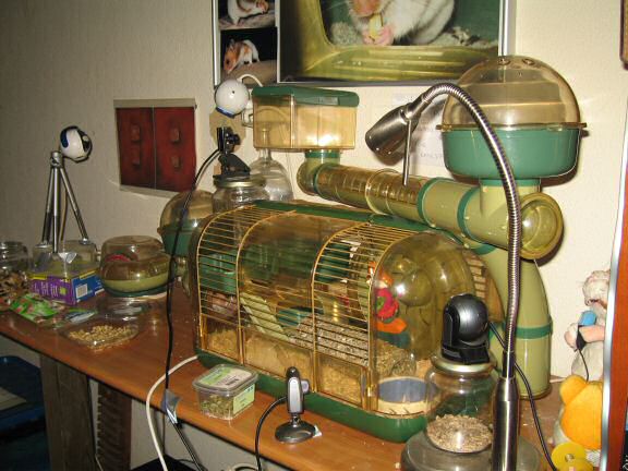 Picture of the fourth setup of the Lucy's (3.0) cage.