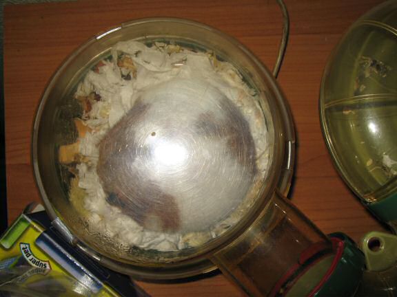 Keeping my hamster Lucy busy ....