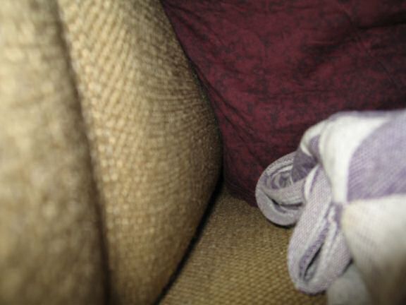 My hamster Lucy Ticklin' ...