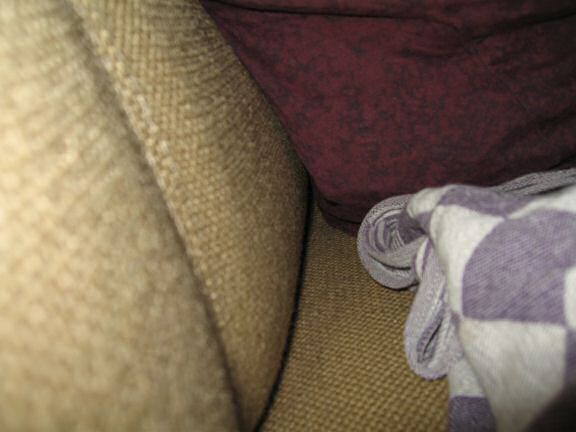 My hamster Lucy Ticklin' ...