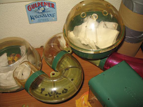 My hamster Lucy (3.0) helping on redecorating her bedroom