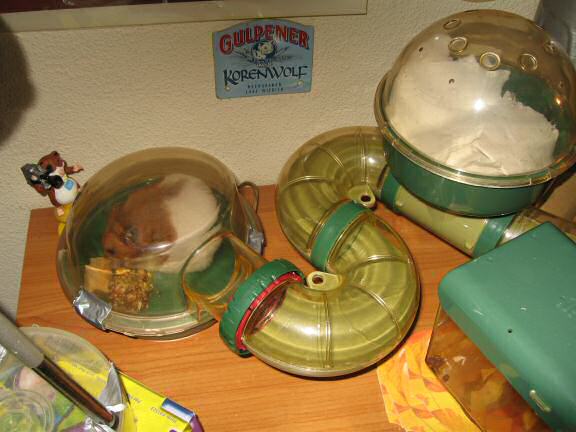 Introducing the new bedroom-clean-protocol; for my hamster Lucy.