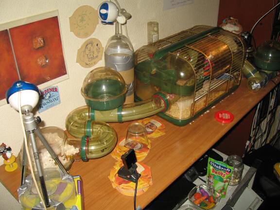 World Animal day 2008, with my hamster Lucy.