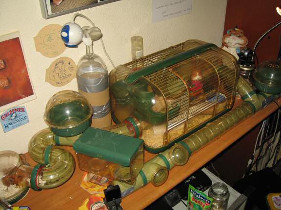 World Animal day 2008, with my hamster Lucy.