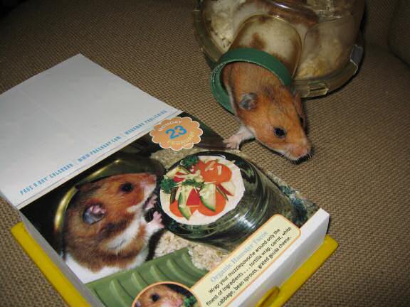My hamster Lucy is a Pin-Up for a day, on the CuteOverload 2009 - Calendar !