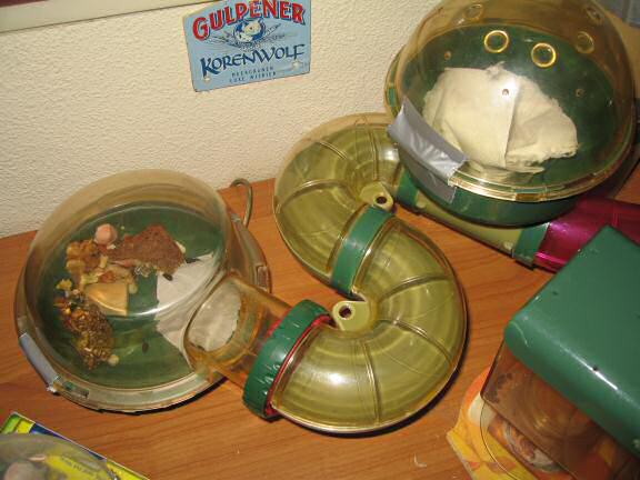 Bedroom Clean Aftermath with my hamster Lucy.