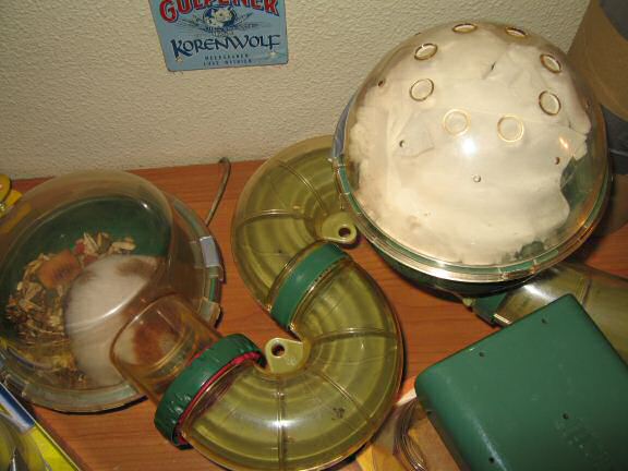 My hamster Lucy telling her story using Hamster-Feet-Sign-Language.