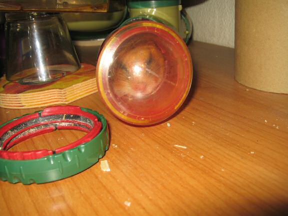 My hamster Lucy experiencing a huge cage-clean.