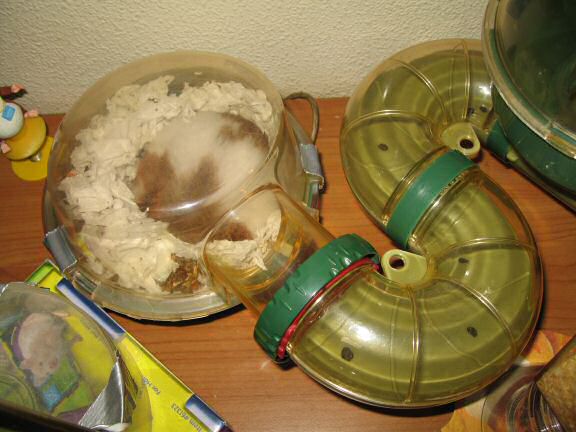 My hamster Lucy almost drank 3 liters of water.