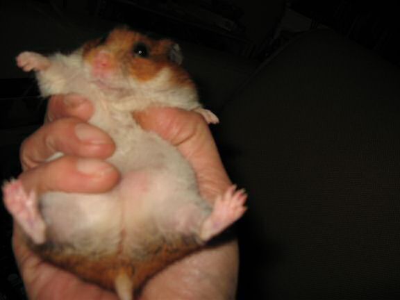 Lucy's health update :)