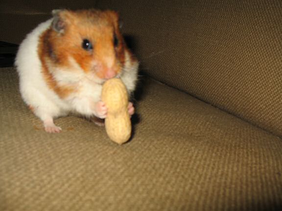 Lucy's health update :)