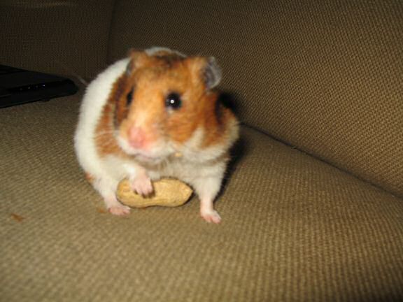 Lucy's health update :)