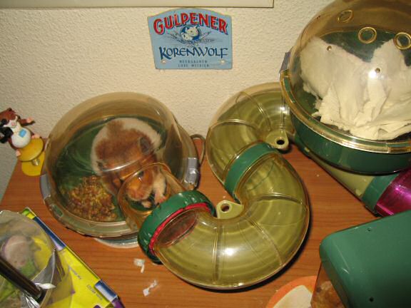 Keepin' my hamster Lucy busy.