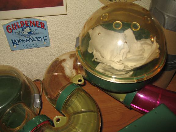 Keepin' my hamster Lucy busy part Deux.