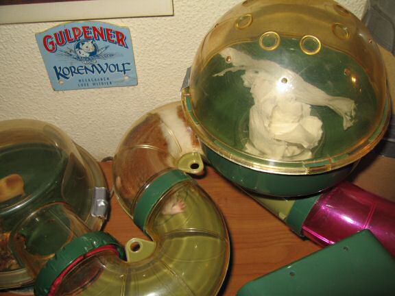 Keepin' my hamster Lucy busy part Deux.