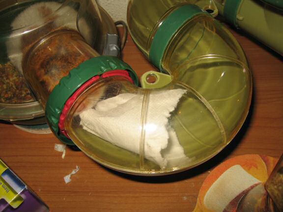 Keepin' my hamster Lucy busy part Deux.