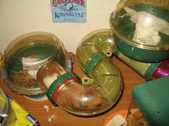 Keepin' my hamster Lucy busy part Deux.