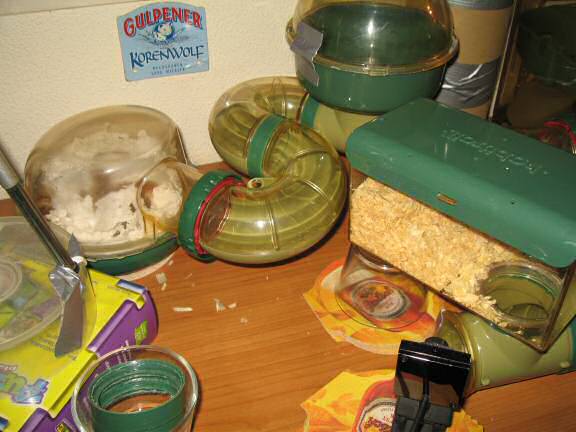 My hamster Lucy's After-Work, Observational Fun !