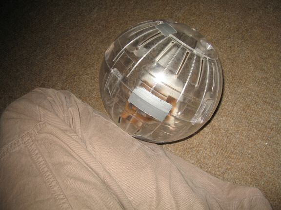 My hamster Lucy's Ball ...