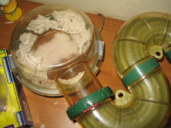 Ultra-Freakin' & -Geekin' it @ HamsterTracker™