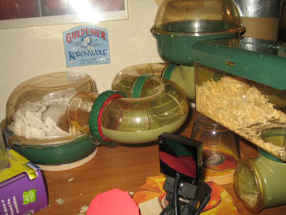 Ultra-Freakin' & -Geekin' it @ HamsterTracker™