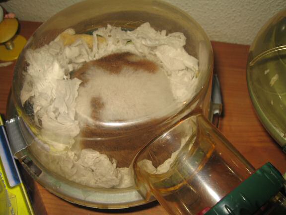 Chillin' it at HamsterTracker™ ... Literally !