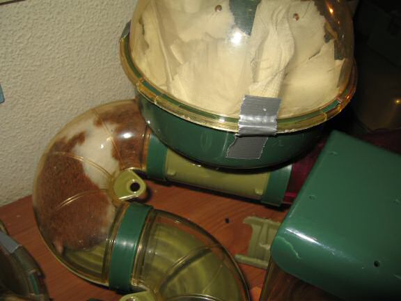 Cleaning my hamster Lucy's bedroom; Lucy's part.