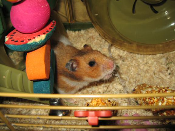 Servin' Her Highness Lucy.