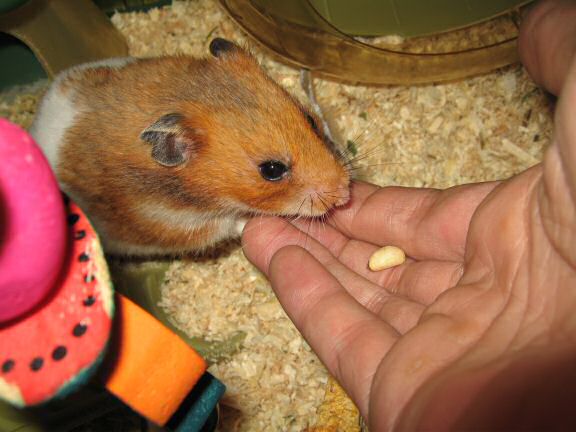 Servin' Her Highness Lucy.