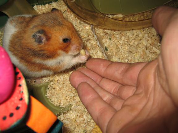 Servin' Her Highness Lucy.