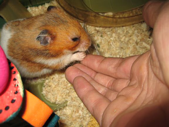 Servin' Her Highness Lucy.