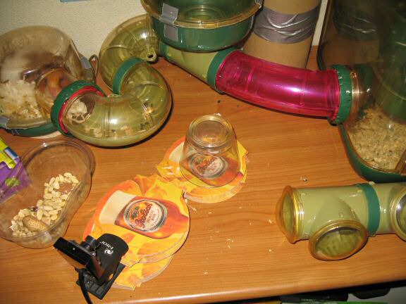 My hamster Lucy's Cage Maintenance.