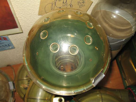 My hamster Lucy's 600 day anniversary.