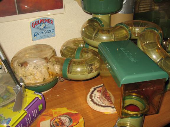 Friday; chores-day / -evening with my hamster Lucy.