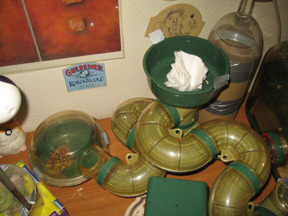 Friday; chores-day / -evening with my hamster Lucy.