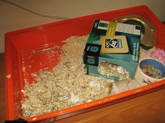 More on cleaning my hamster Lucy's cage ...