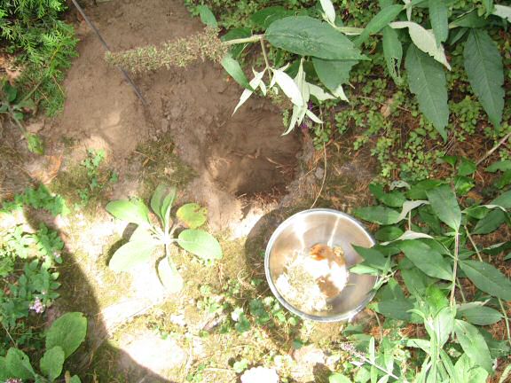 My hamster Lucy(3.0) sadly passed away ...