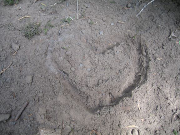 My hamster Lucy(3.0) sadly passed away ...