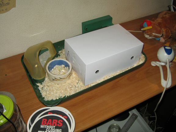 Introducing Lucy (4.0) at HamsterTracker.