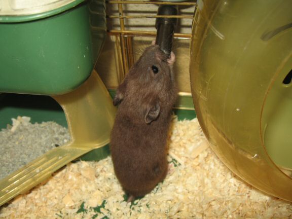 My first day with Lucy (4.0).