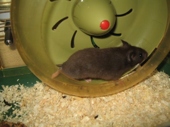 My first day with Lucy (4.0).