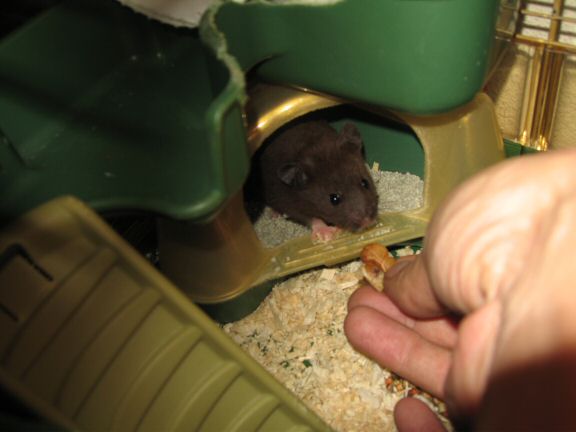 My first day with Lucy (4.0).