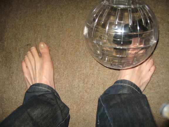 My hamster Lucy her first time in her Explorer Ball...