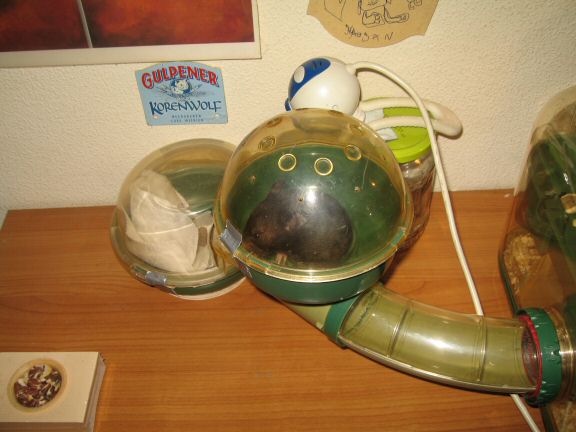 My hamster Lucy's new Mansion Expansion...