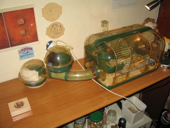 My hamster Lucy's new Mansion Expansion...