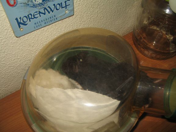 My hamster Lucy's new Mansion Expansion...